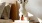 a vase with cotton stems on a bedside table